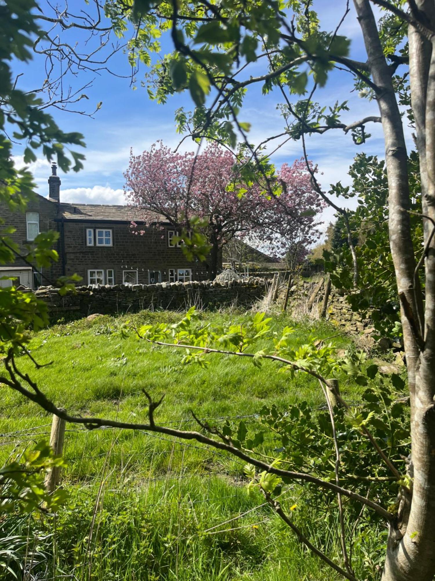 Bents Holiday Cottage Oxenhope المظهر الخارجي الصورة