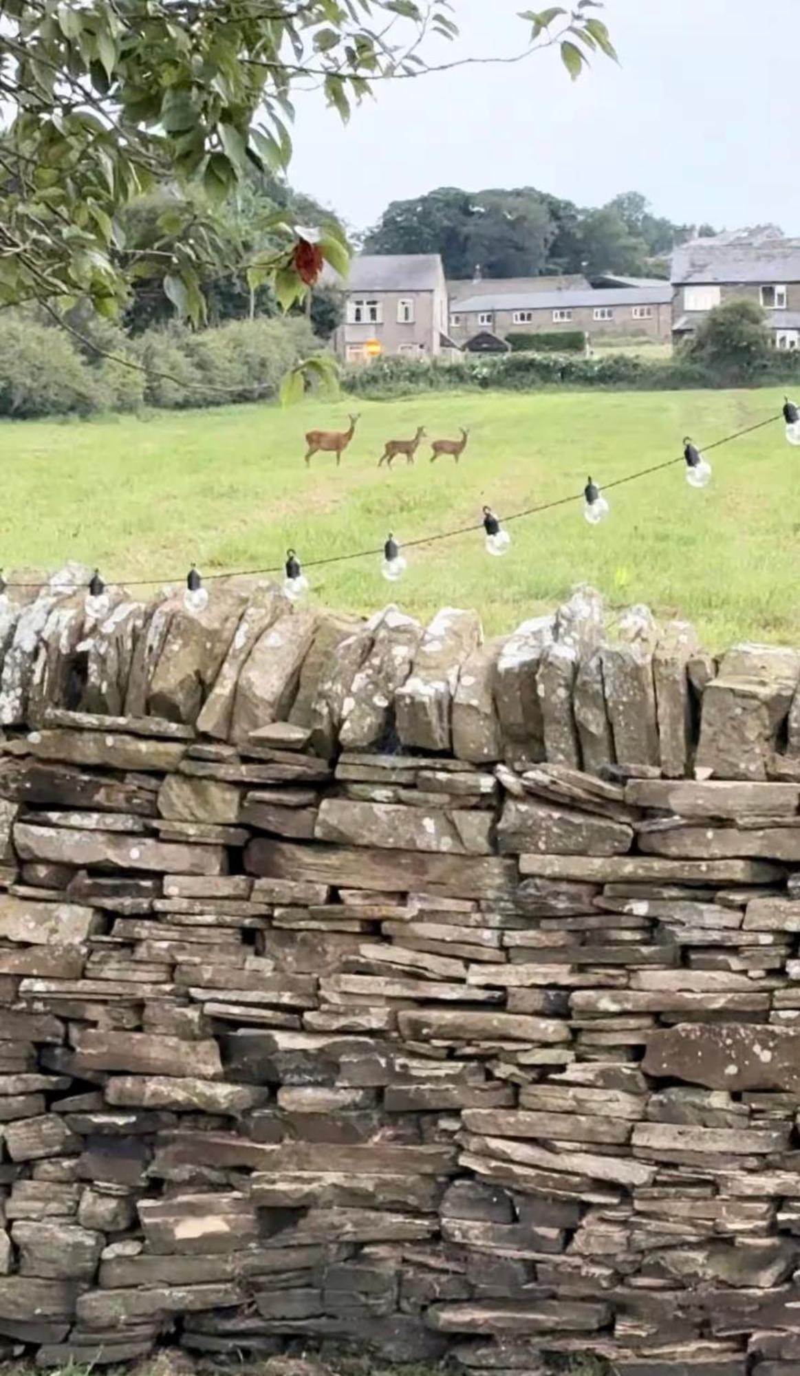 Bents Holiday Cottage Oxenhope المظهر الخارجي الصورة